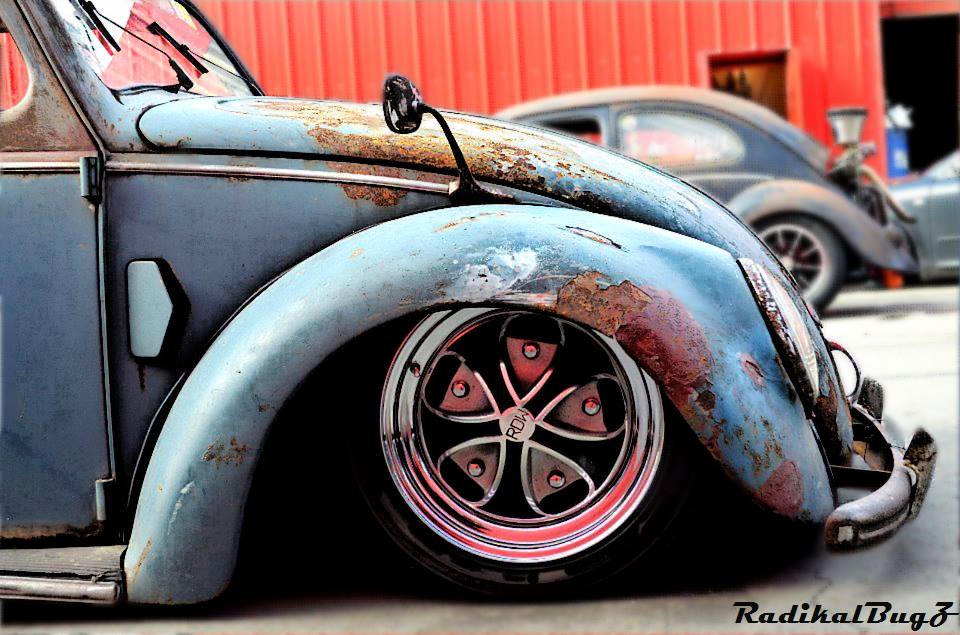 11011244_806230479445970_2082202274759924933_n.jpg, 99.89 kb, 960 x 635