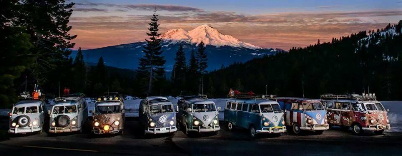 10999408_10204125629963551_2908776069541349338_n.jpg, 182.59 kb, 800 x 310