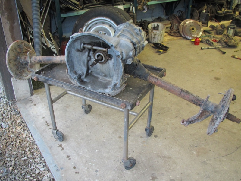 IMG_3980 (800x600).jpg, 292.27 kb, 800 x 600