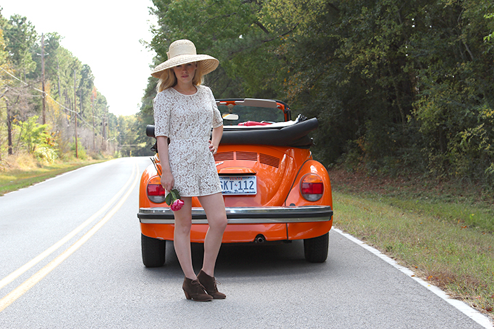 bug8[1].jpg, 427.11 kb, 720 x 480