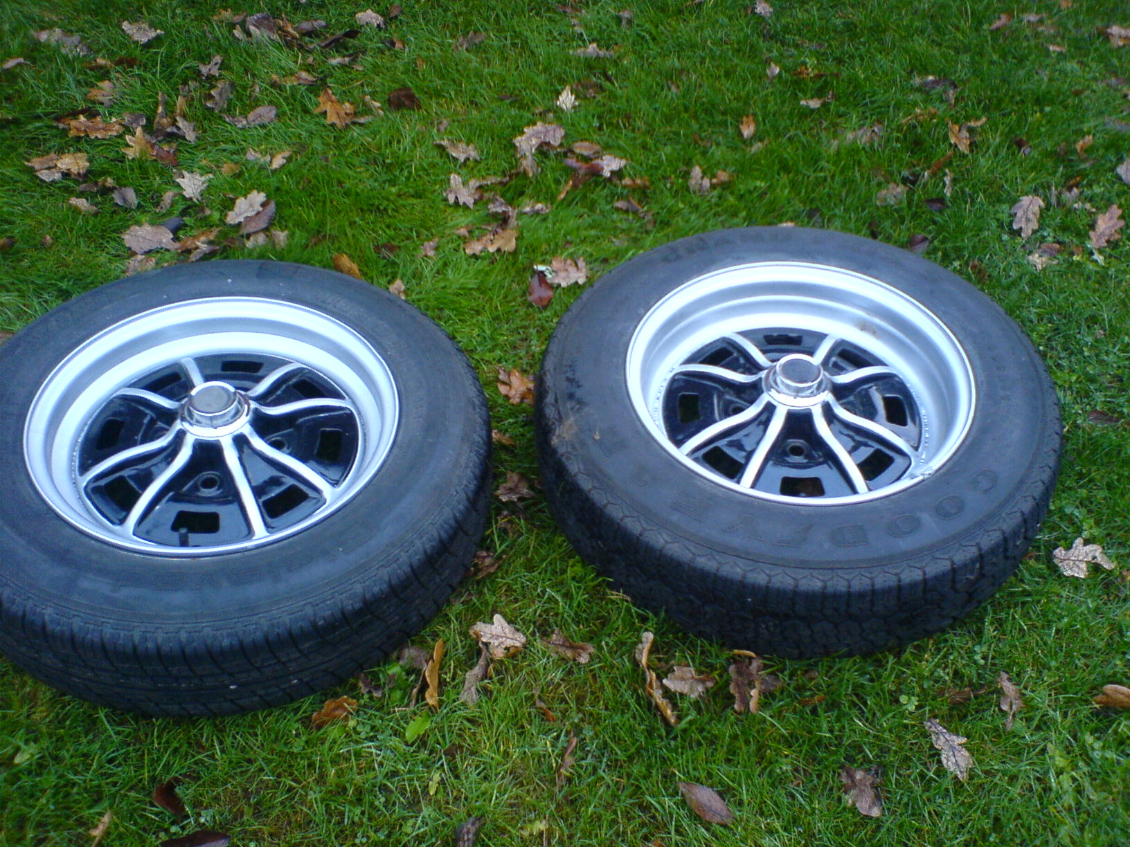 hlon 005.JPG, 423.04 kb, 1632 x 1224