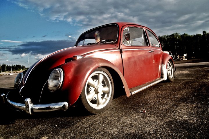 30931_10150209840280495_4108451_n.jpg, 100.06 kb, 720 x 479