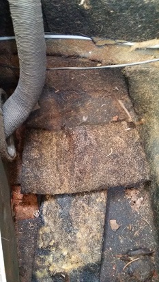 ny 4.jpg, 62.49 kb, 233 x 413