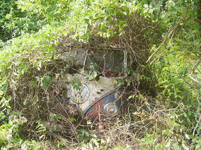 11174793_836298693115867_4208855125823338537_n.jpg, 83.52 kb, 640 x 480