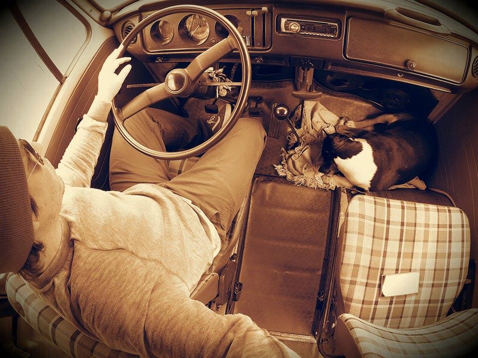 11083673_819842258094844_2122975157879248636_n.jpg, 128.46 kb, 960 x 720