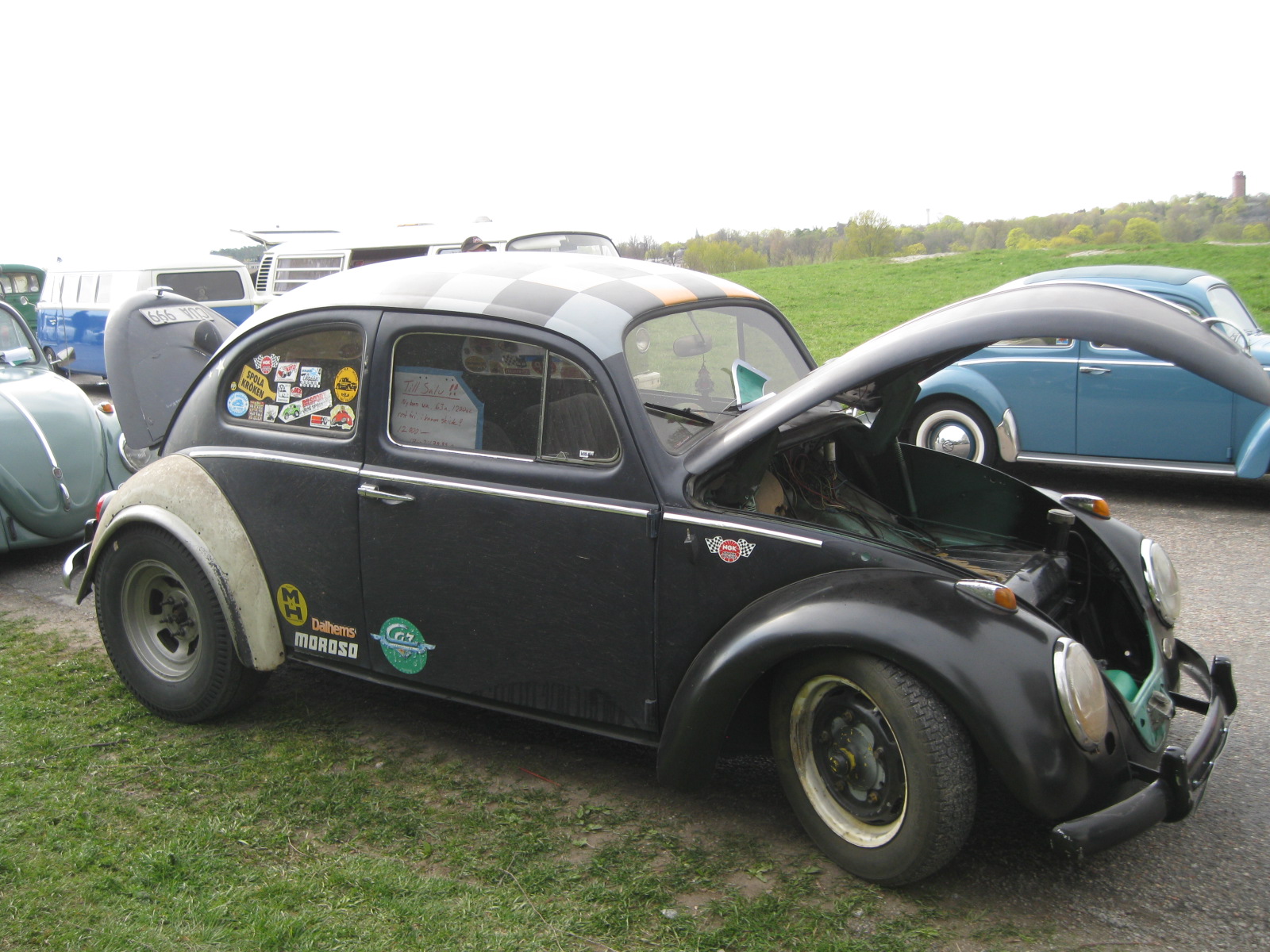 IMG_8702.JPG, 498.37 kb, 1600 x 1200