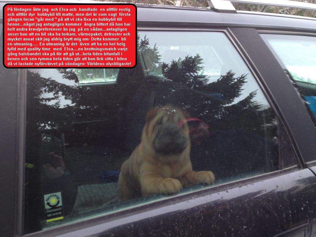 veckobild 6.jpg, 246.72 kb, 1024 x 768