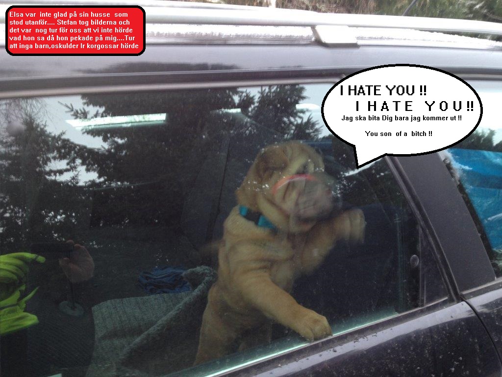 veckobild 7.jpg, 212.21 kb, 1024 x 768