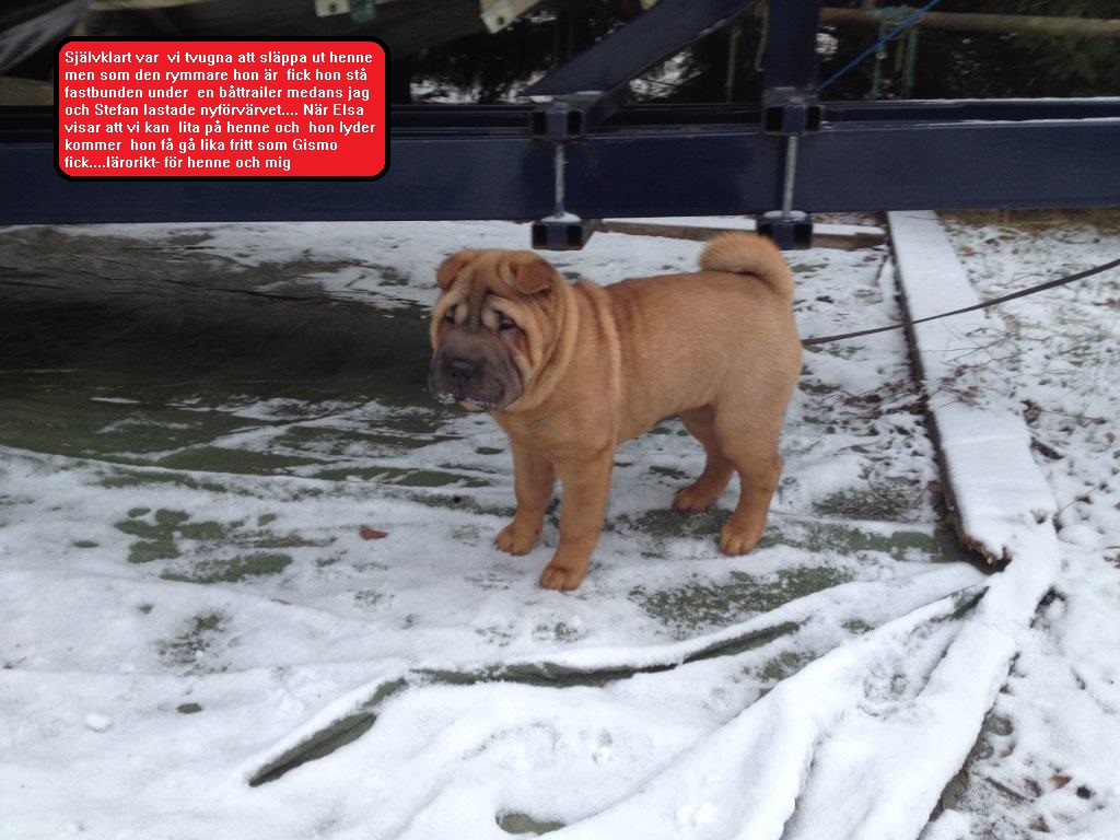 veckobild 9.jpg, 225.56 kb, 1024 x 768