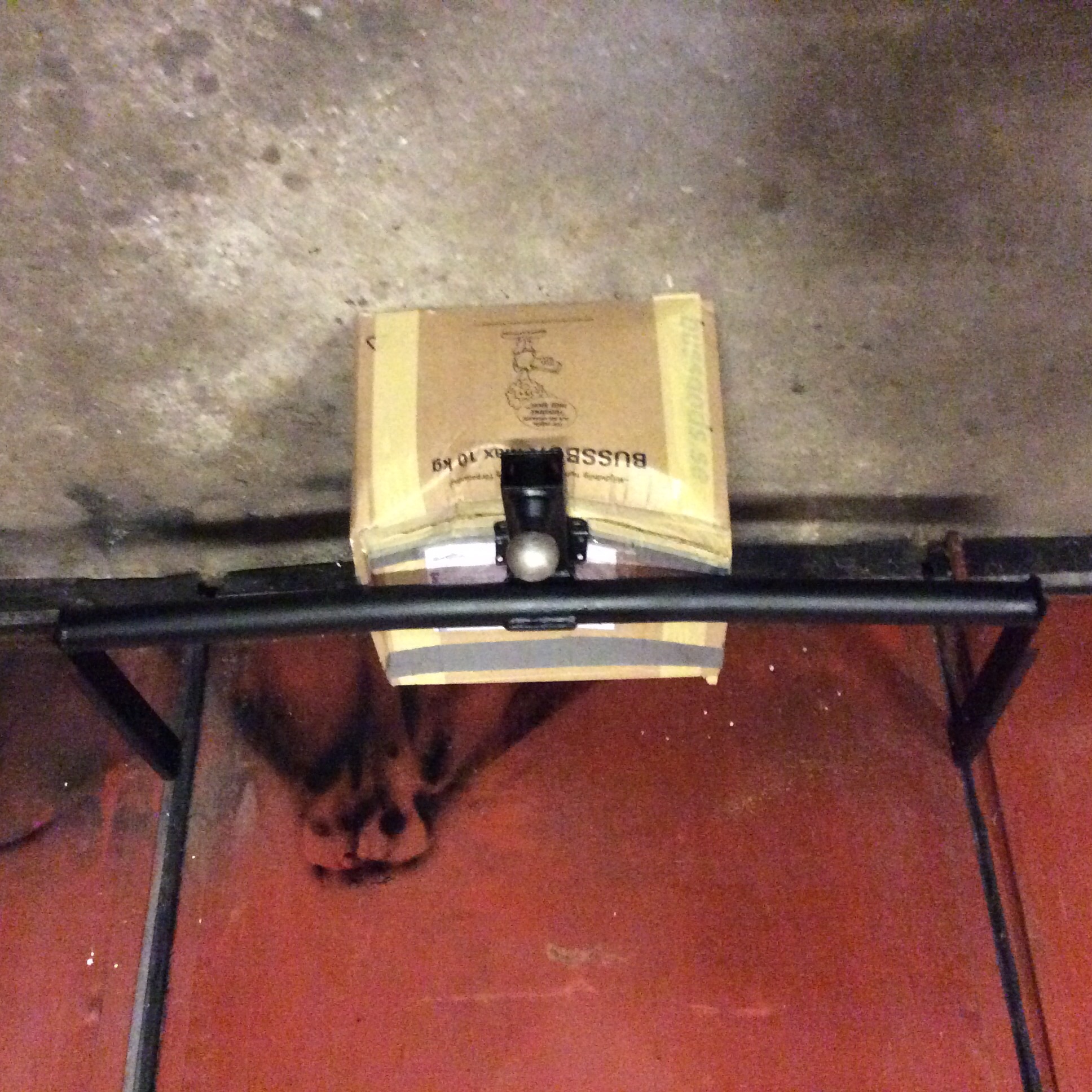 image.jpg, 844.15 kb, 1936 x 1936