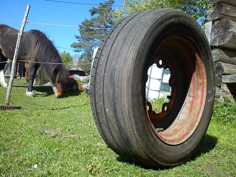 DSC00989.jpg, 293.24 kb, 778 x 584