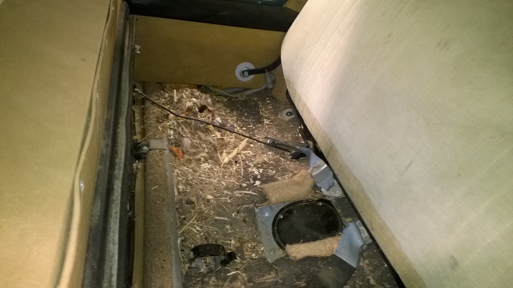 7.jpg, 321.95 kb, 1632 x 918