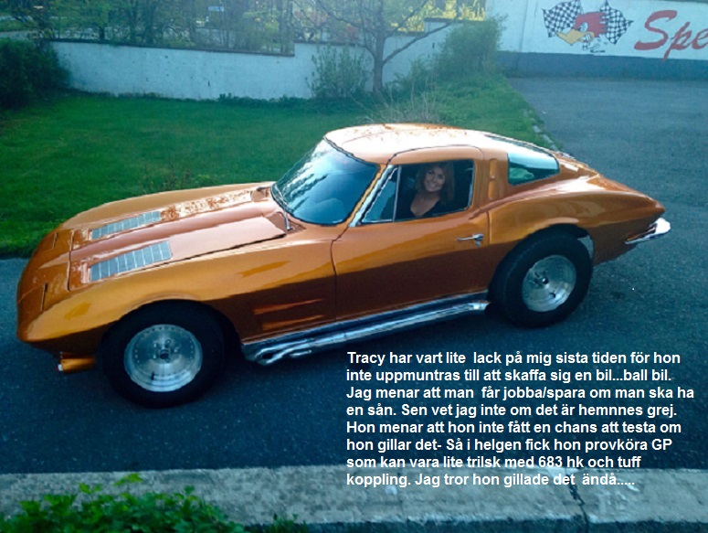 LIten vecka 7.jpg, 180.55 kb, 775 x 583