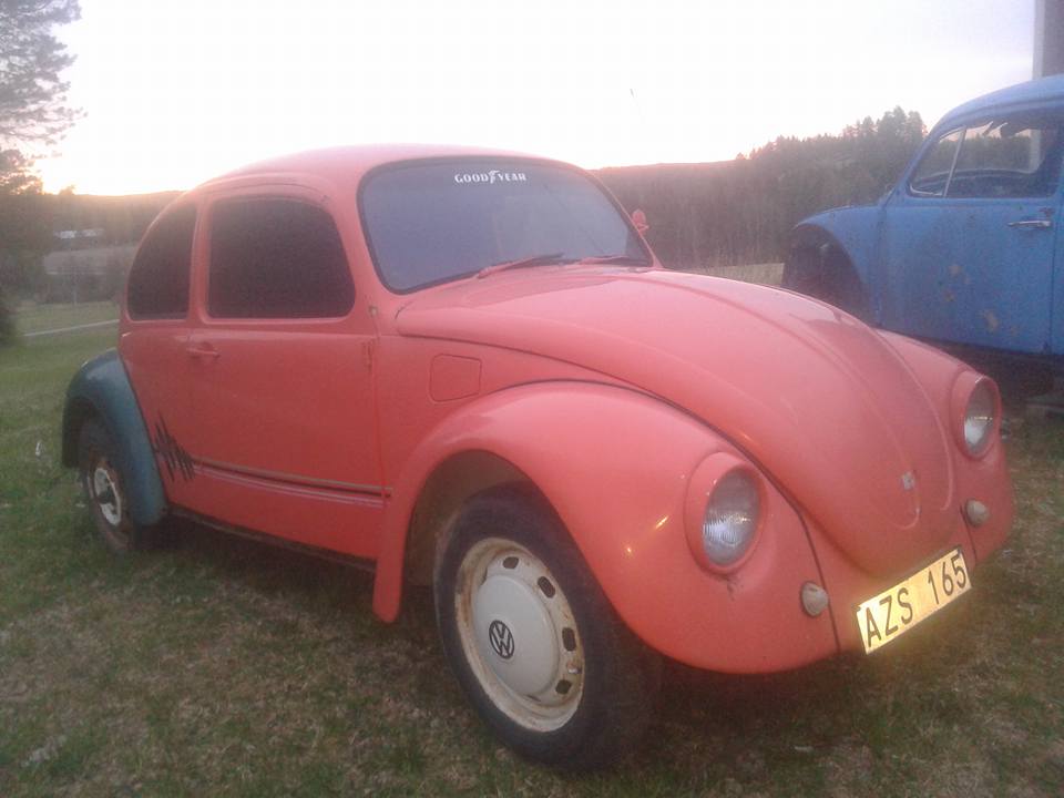 22226_10153271235338397_8077073228574908771_n.jpg, 52.69 kb, 960 x 720