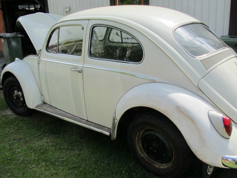 IMG_4647 (800x600).jpg, 229.7 kb, 800 x 600