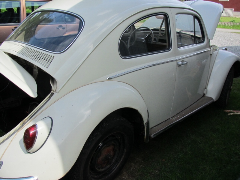 IMG_4646 (800x600).jpg, 219.51 kb, 800 x 600