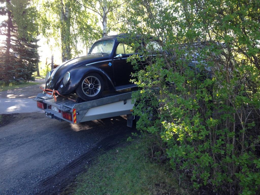 Koch1.JPG, 181.19 kb, 1024 x 768