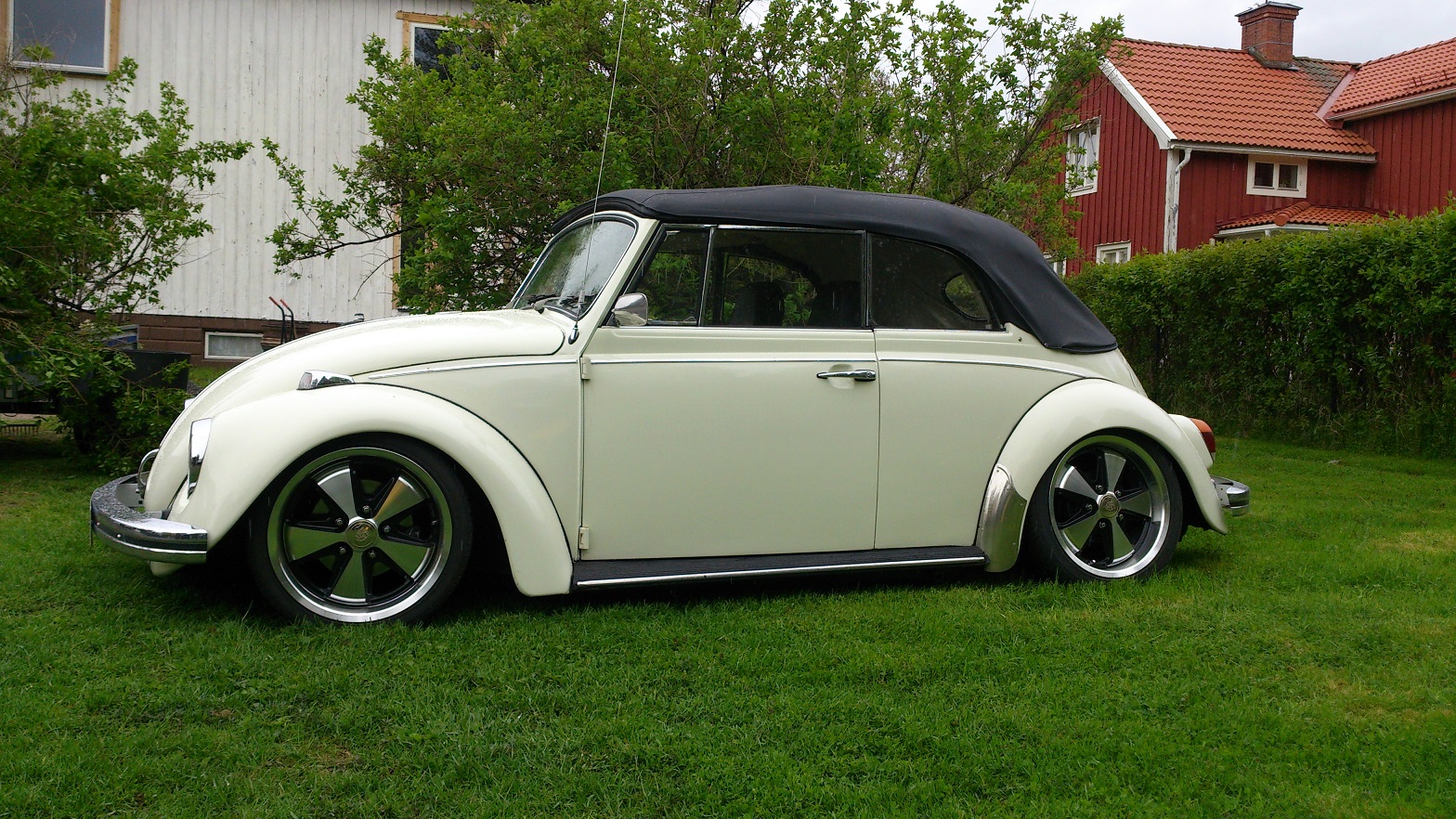 Koch3.jpg, 710.9 kb, 1568 x 882