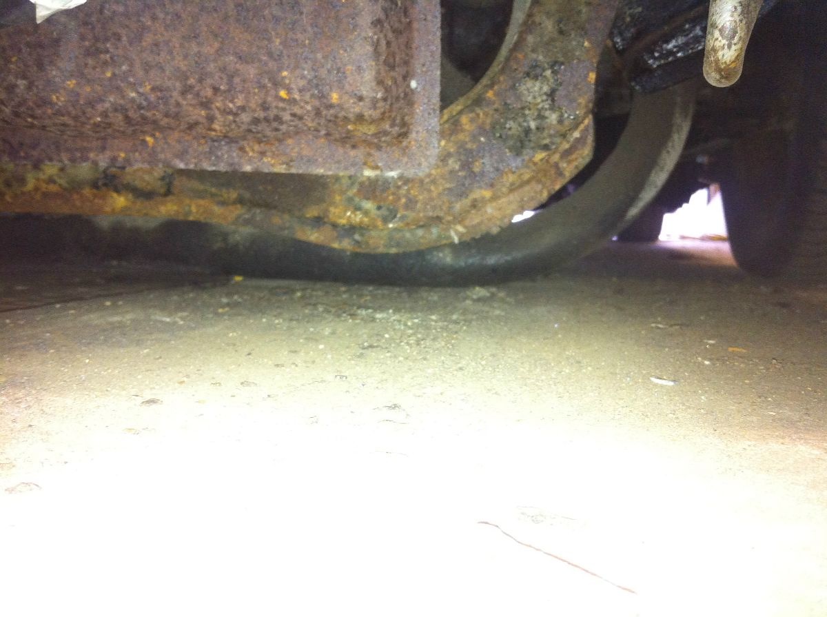 image.jpg, 195.95 kb, 1200 x 895