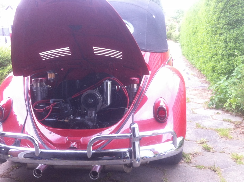 BUG_60.jpg, 300.91 kb, 800 x 598