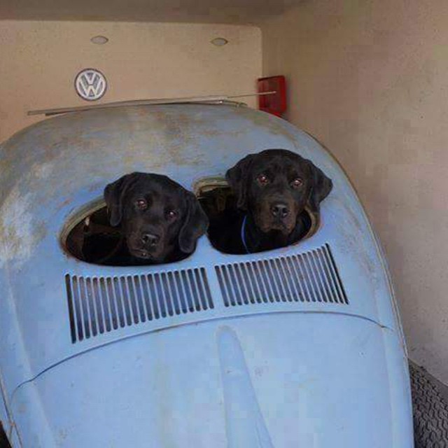 tumblr_nl24wgwpim1qauzv5o1_1280.jpg, 62.57 kb, 640 x 640