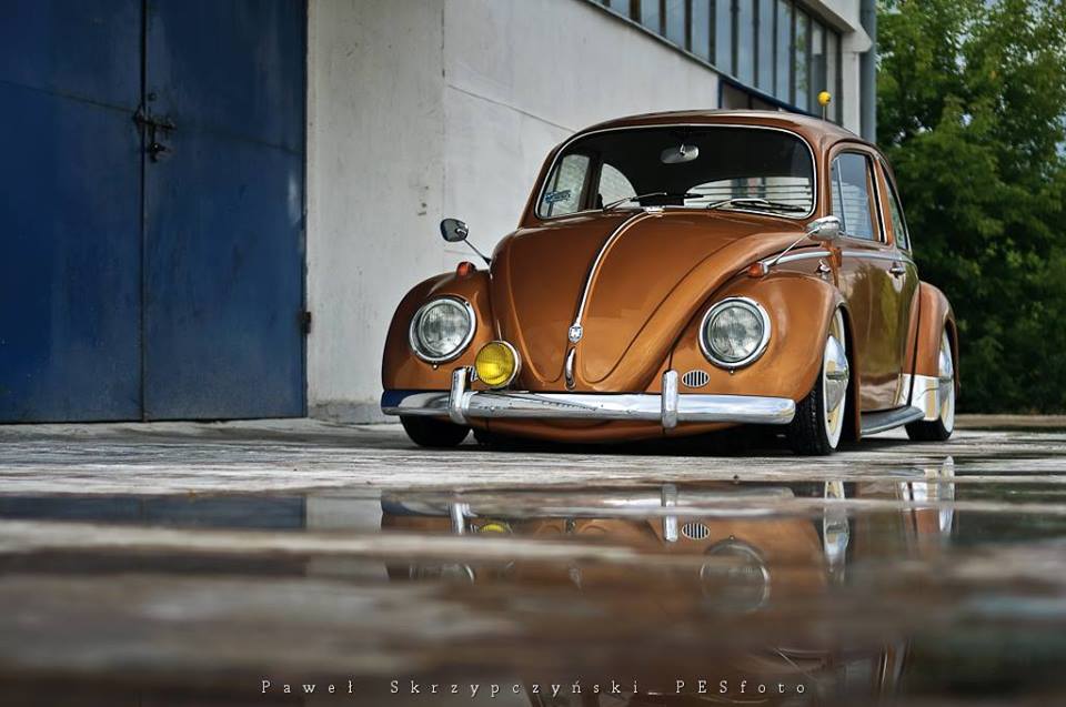 734568_738539706168410_3508175567477314135_n.jpg, 73.12 kb, 960 x 637