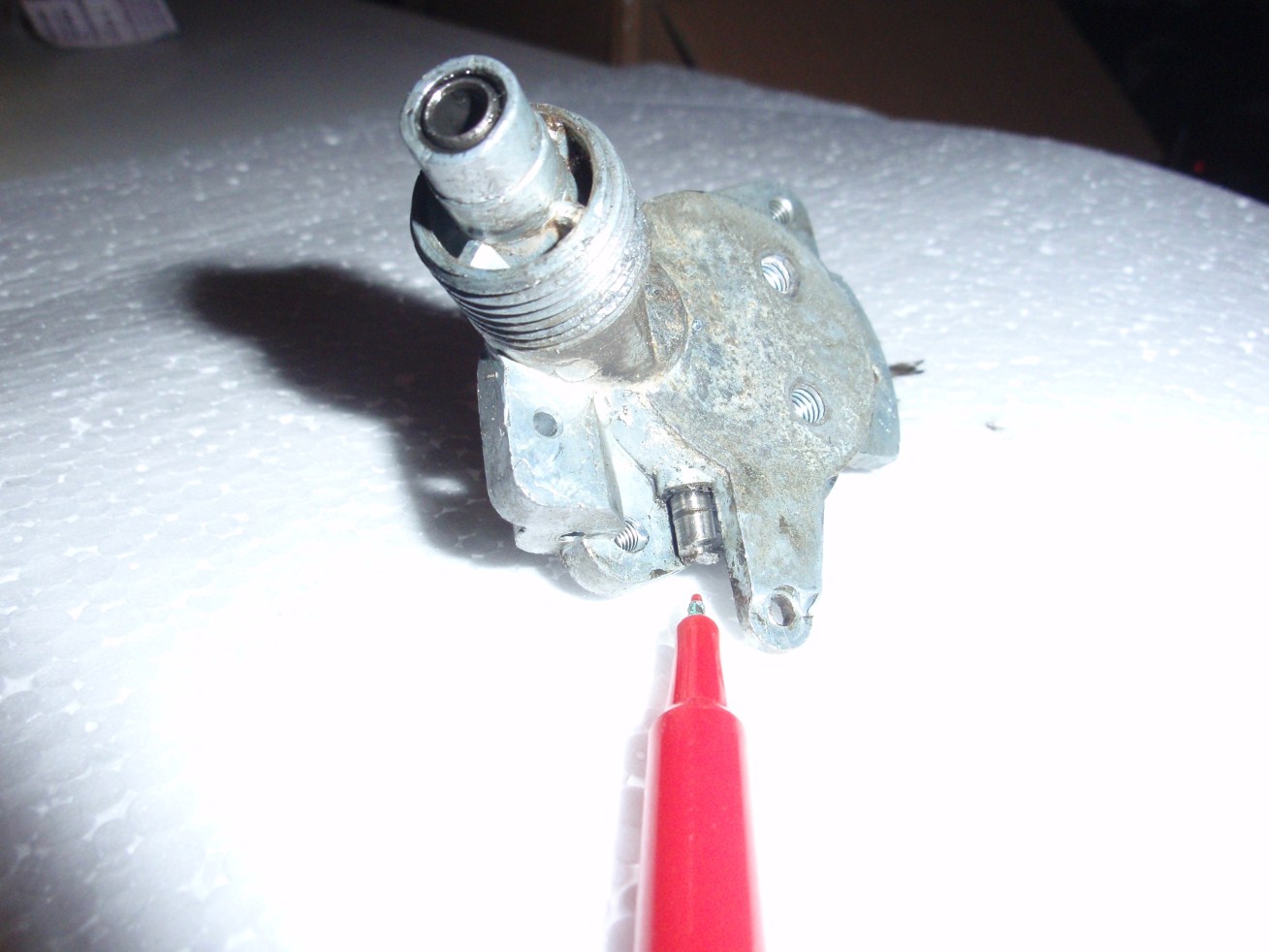 P1051983 (1309 x 982).jpg, 150.12 kb, 1309 x 982