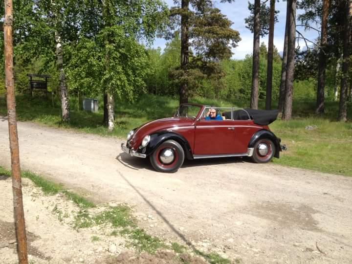 DSC_0774.JPG, 71.15 kb, 720 x 540