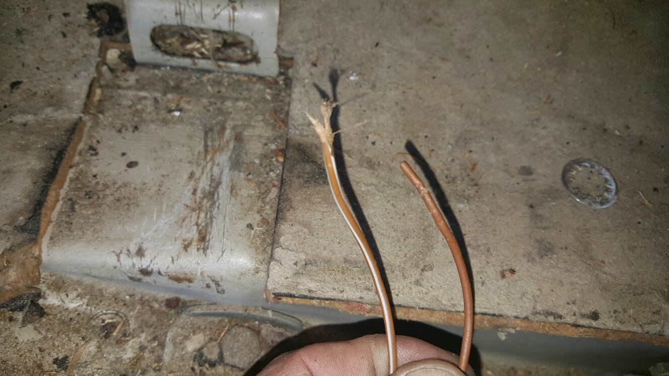 20150615_193705_resized.jpg, 331.21 kb, 1328 x 747