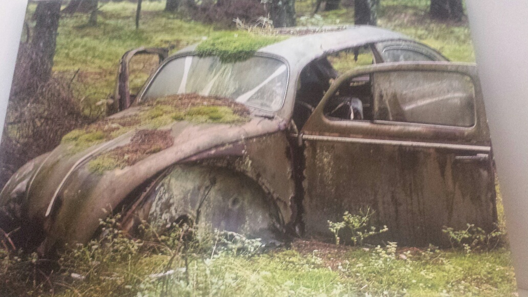 20150405_155936_resized.jpg, 250.47 kb, 1032 x 580