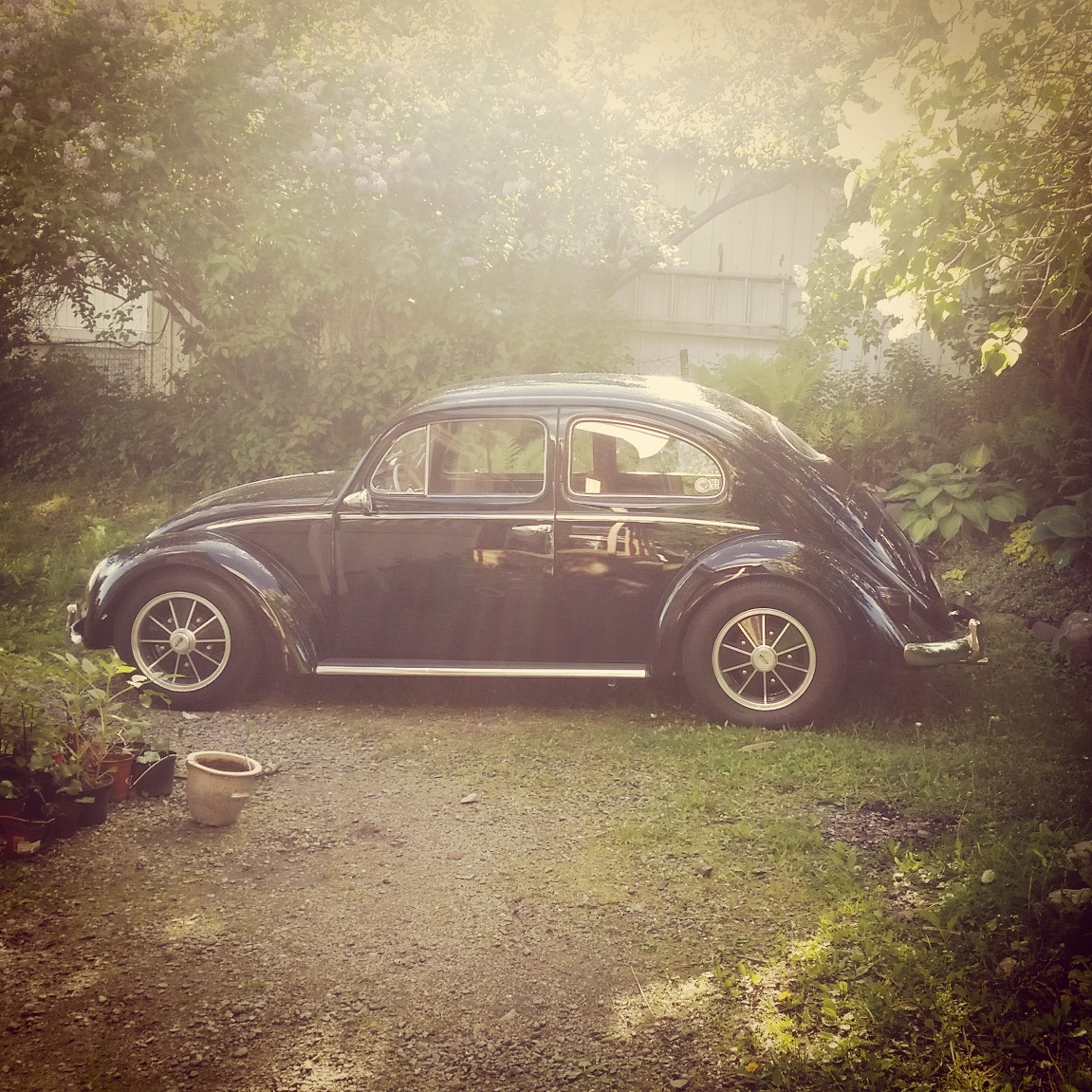 IMG_20150616_183732.jpg, 644.35 kb, 1151 x 1151