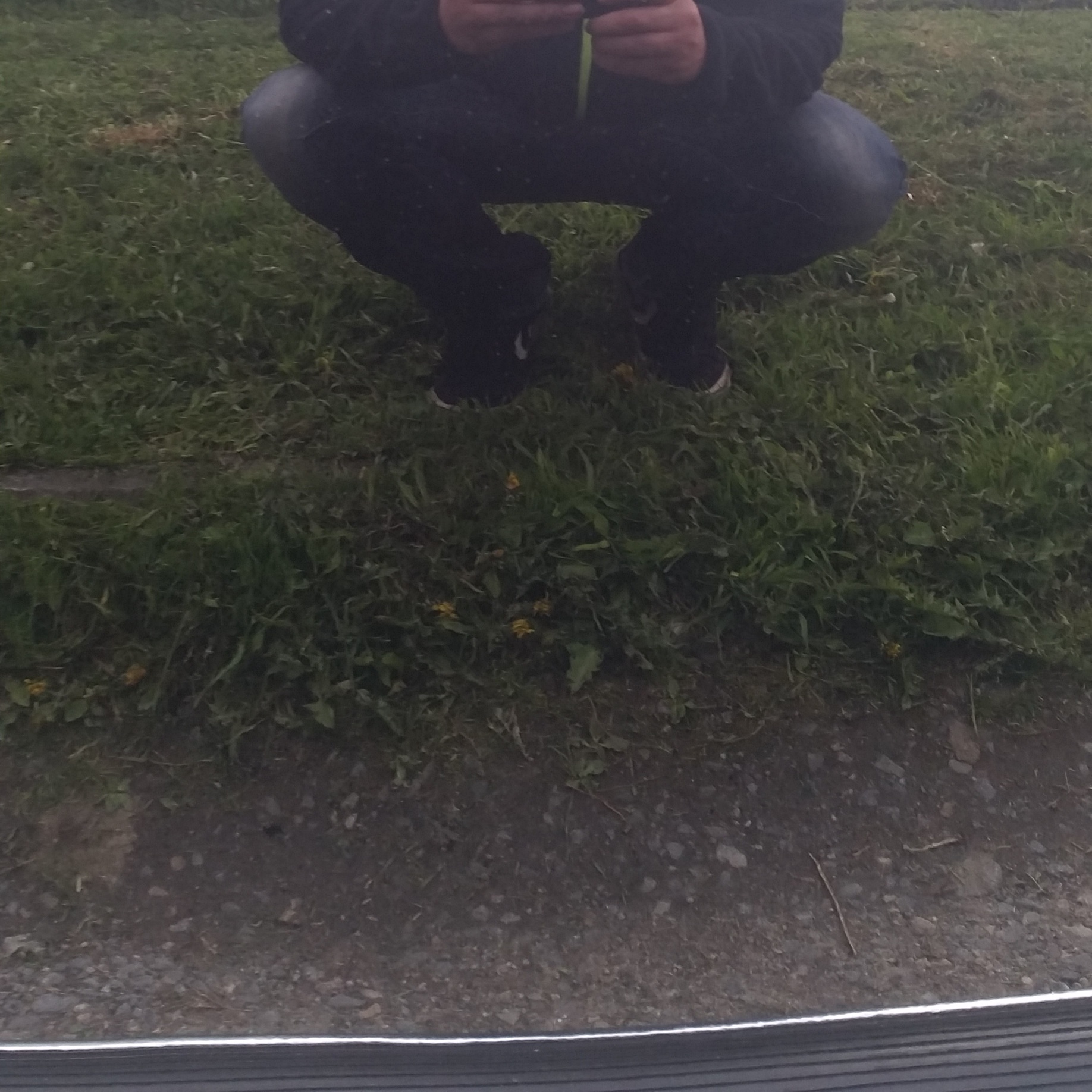 IMG_20150524_190349.jpg, 756.64 kb, 1836 x 1836