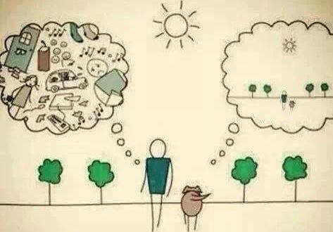 1014115_10202224472348048_207494997_n.jpg, 22.77 kb, 473 x 330