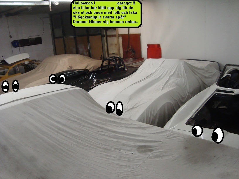 Liten Boxerbild.jpg, 173.67 kb, 816 x 612