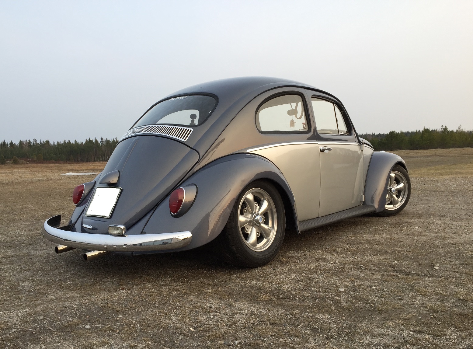 DMO 497 small.jpg, 636.62 kb, 1555 x 1147