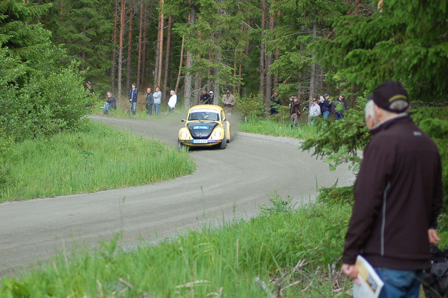 DSC_1871.JPG, 437.22 kb, 1504 x 1000