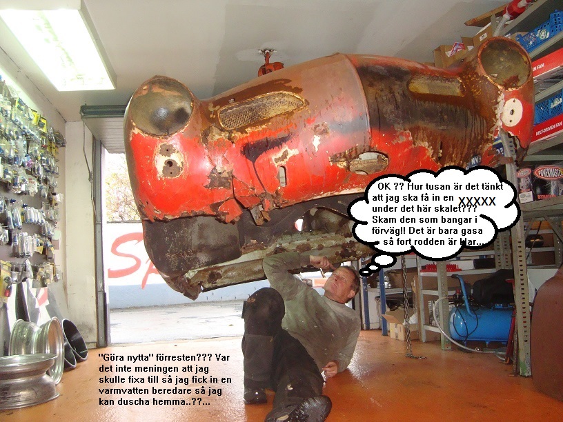 LIten boxerbild2.jpg, 259.58 kb, 816 x 612