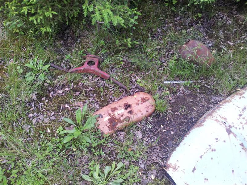 scary (Medium).jpg, 203.28 kb, 800 x 600