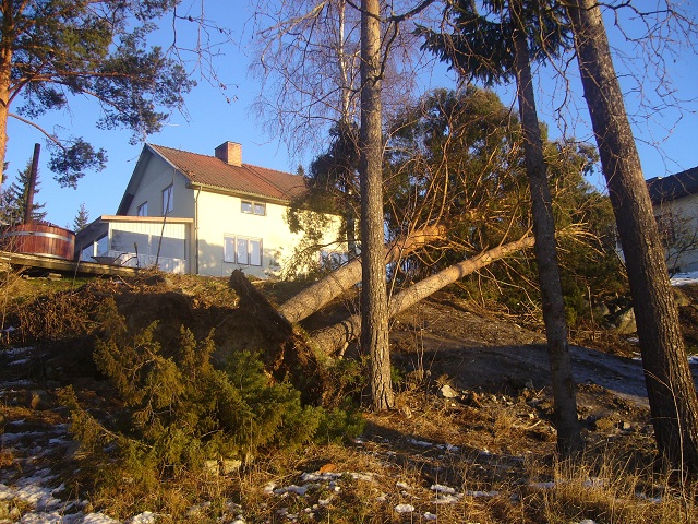 P1070296.JPG, 223.76 kb, 640 x 480