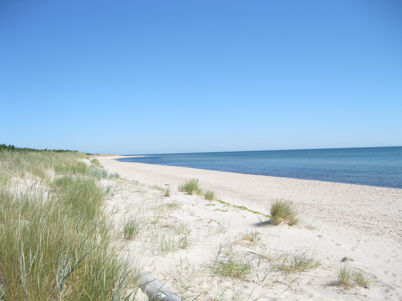 IMG_8711.JPG, 510.07 kb, 1600 x 1200