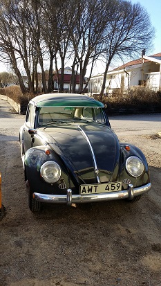 ny 9.jpg, 69 kb, 233 x 413