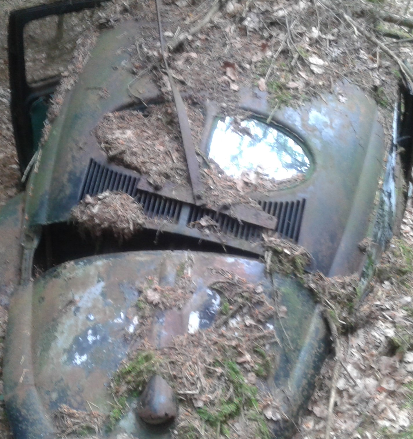 20150707_173541 (2).jpg, 489.84 kb, 1425 x 1514