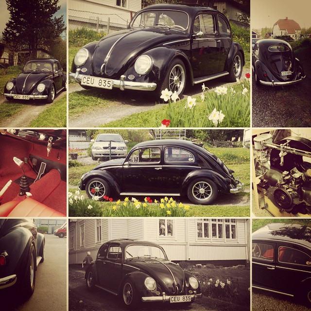 1517268_401824560017575_1920887855_n.jpg, 161.21 kb, 640 x 640