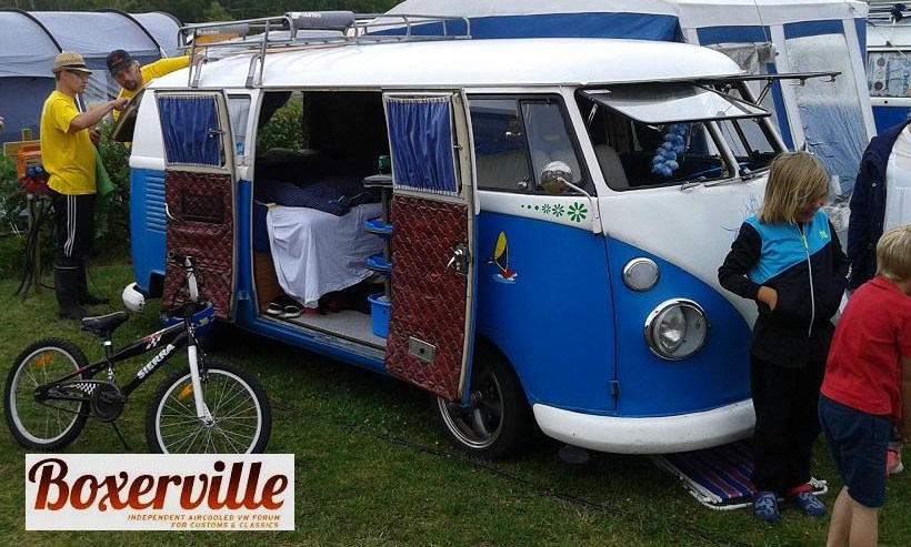 Boxerwille (1).jpg, 146.71 kb, 820 x 493