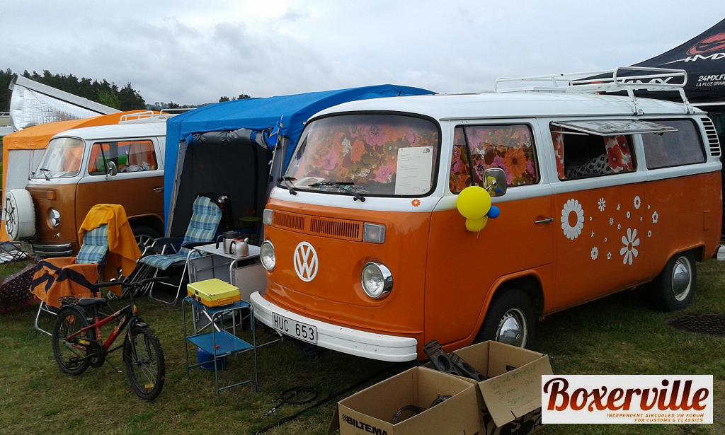 Boxerwille (2).jpg, 111.59 kb, 1024 x 615