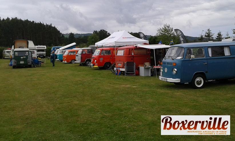 Boxerwille (3).jpg, 79.25 kb, 822 x 494