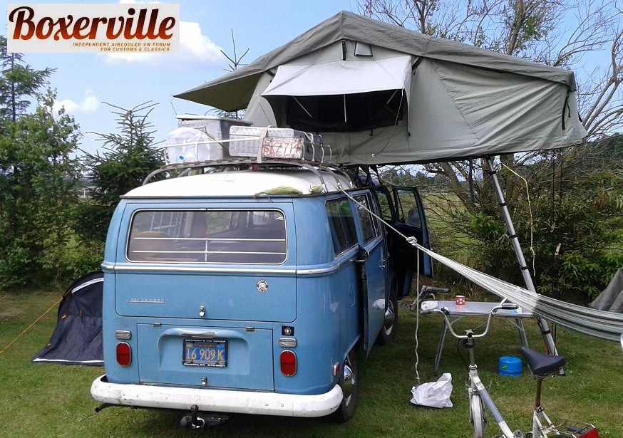 Boxerwille (5).jpg, 202.1 kb, 874 x 615