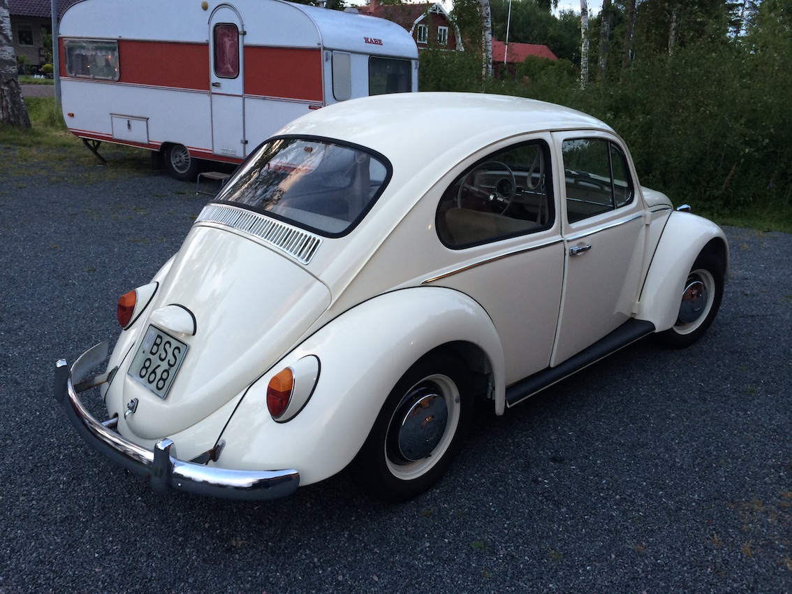 IMG_7668.JPG, 332.64 kb, 1134 x 850