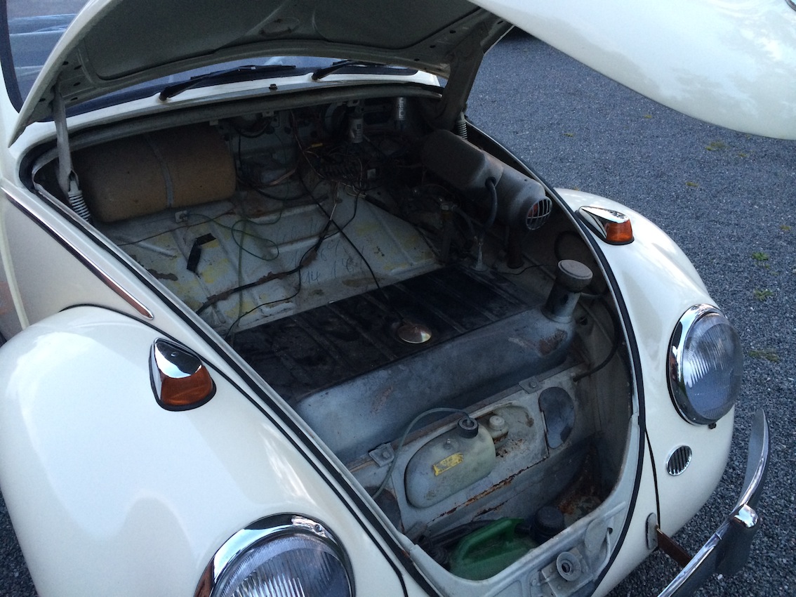 IMG_7675.JPG, 294.14 kb, 1134 x 850