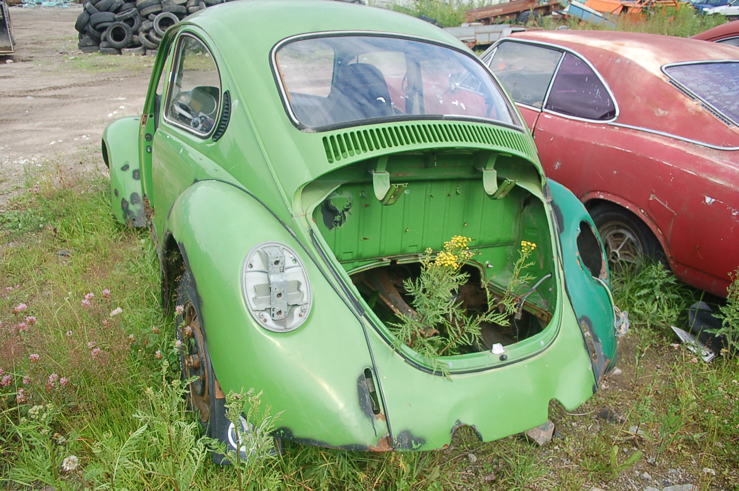 DSC_1973.JPG, 440.41 kb, 1504 x 1000